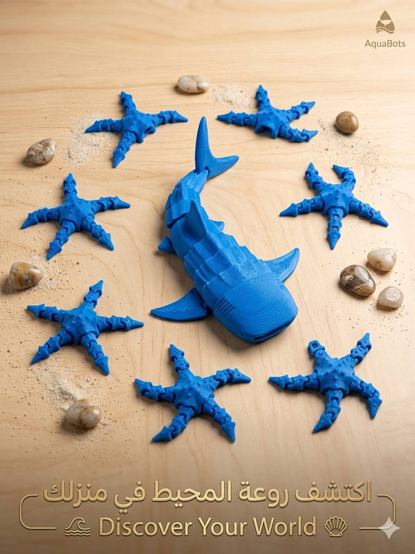 مجموعة المحيطات